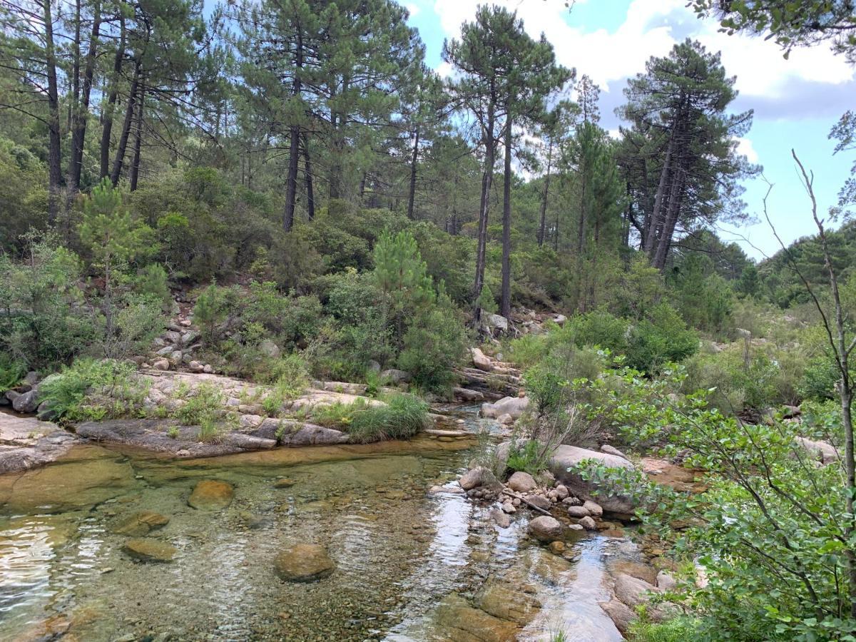Villa Chez Geraldine Piscine Chauffee, Proche Plage Et Riviere 里奇 外观 照片