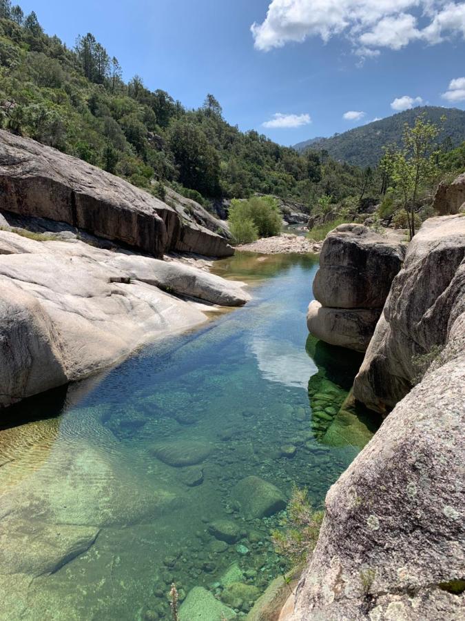Villa Chez Geraldine Piscine Chauffee, Proche Plage Et Riviere 里奇 外观 照片
